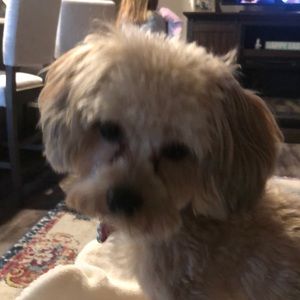 Meet your Posher, Mara